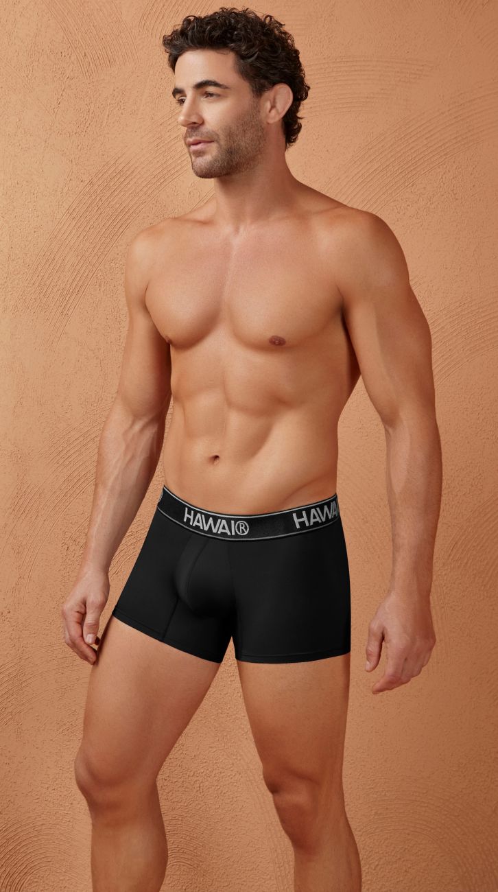 HAWAIR 41977 Microfiber Male Modern Fit Trunks Black