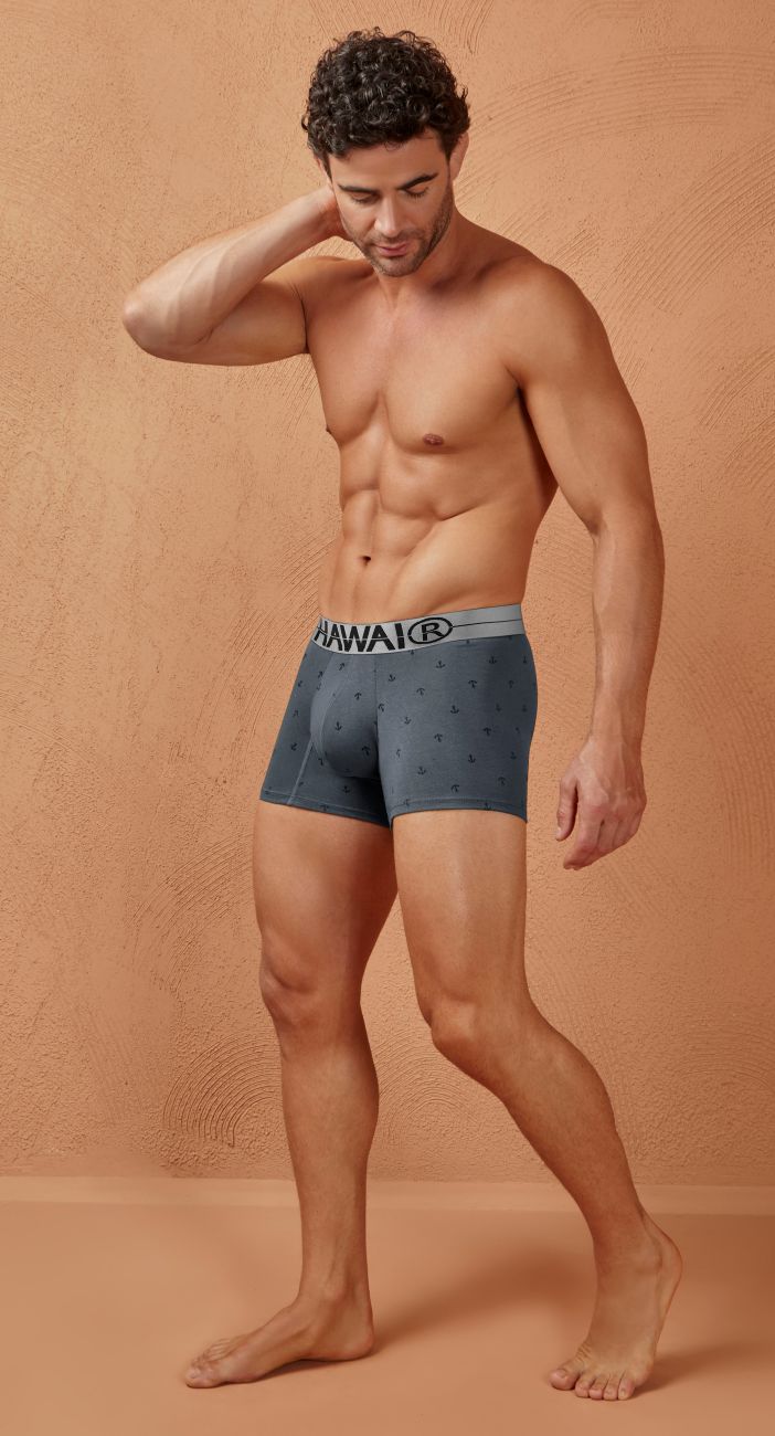 HAWAIR 42521 Cotton Blend Male Snug Fit Trunks Gray
