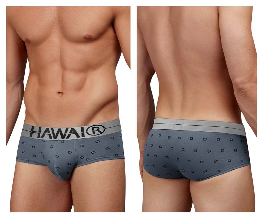 HAWAIR 42531 Cotton Blend Male Everyday Briefs Gray