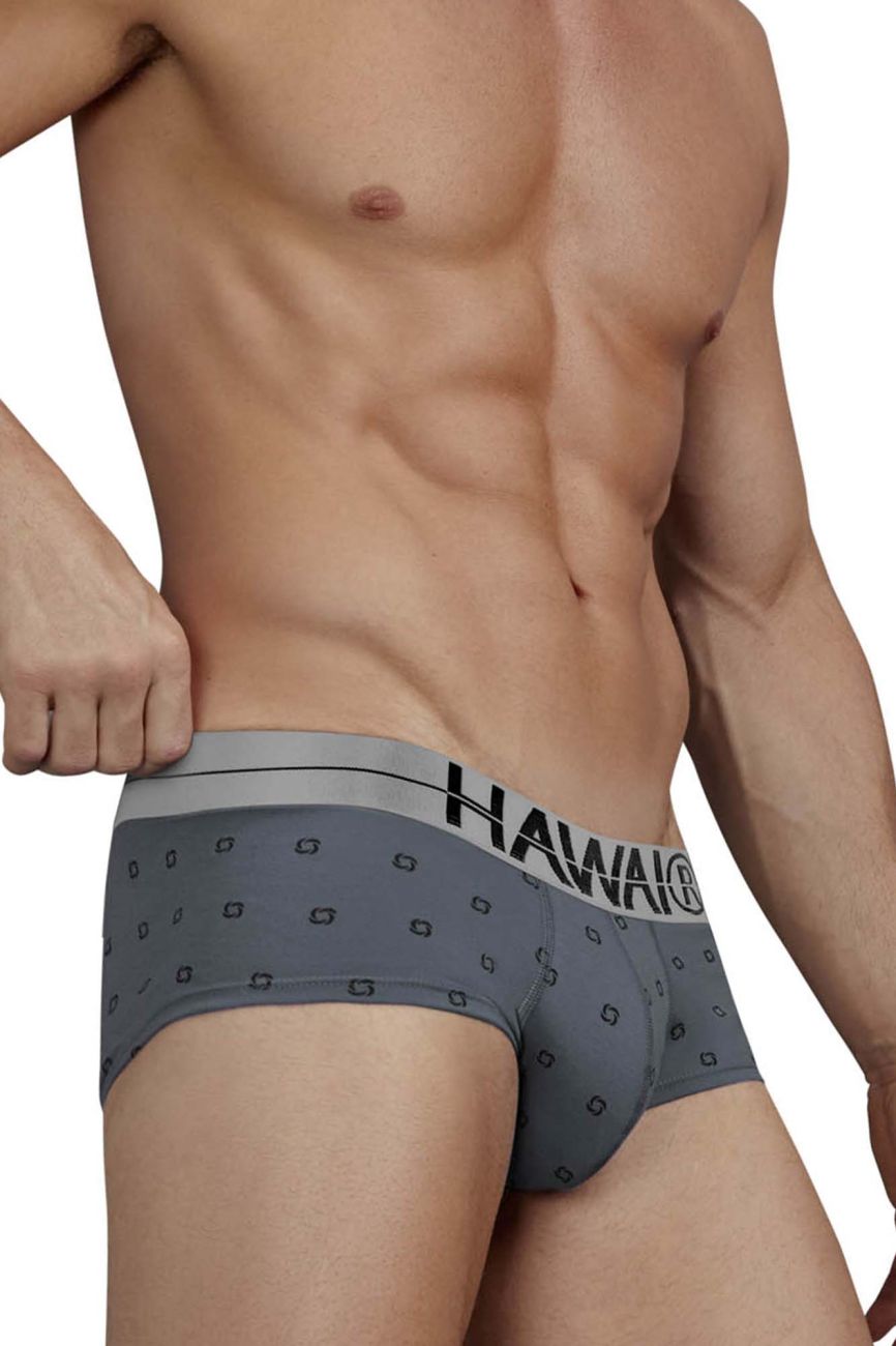 HAWAIR 42531 Cotton Blend Male Everyday Briefs Gray