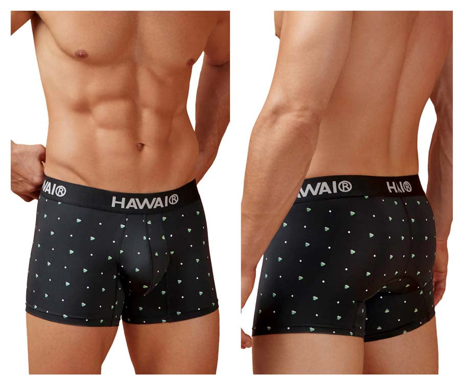 HAWAIR 42570 Microfiber Male Everyday Trunks Black