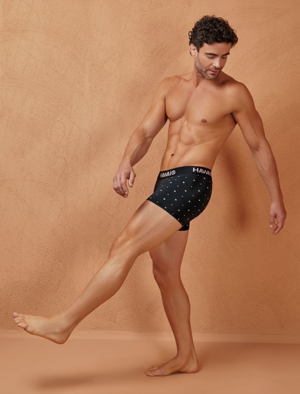 HAWAIR 42570 Microfiber Male Everyday Trunks Black