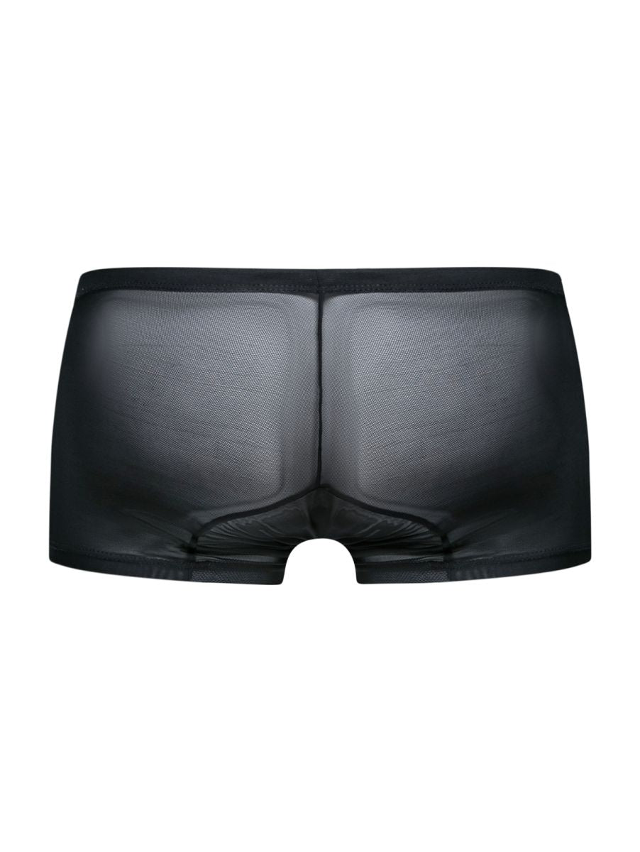 MaleBasics MBL78 Mens Sexy barely There Trunks Black Mesh