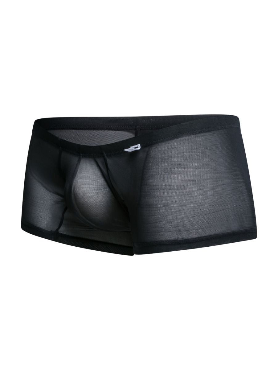 MaleBasics MBL78 Mens Sexy barely There Trunks Black Mesh