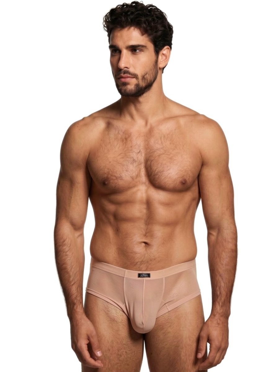 Xtremen 91263 Mens Sheer See-through Microfiber Mesh Briefs Brown