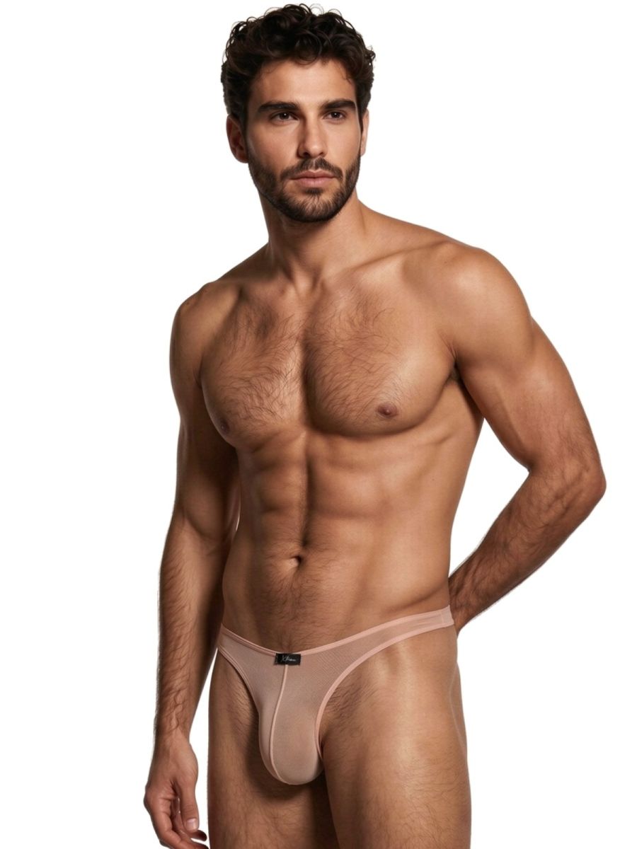 Xtremen 91264 Mens Microfiber See-through Mesh Bikini Brief Brown