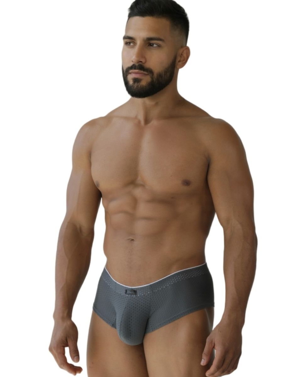 Xtremen 91269 Mens Sleek V-Cut Performance Mesh Briefs Gray