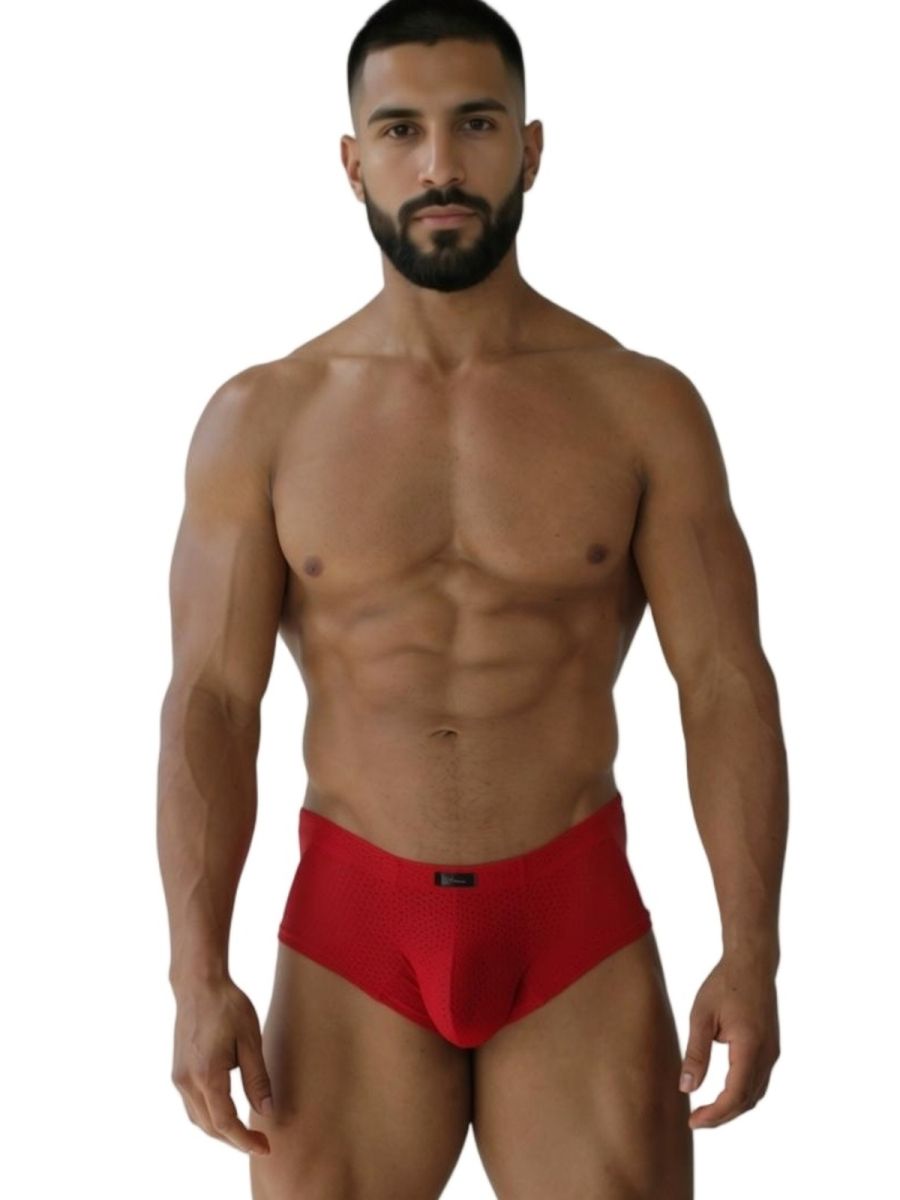 Xtremen 91269 Mens Sleek V-Cut Performance Mesh Briefs Red