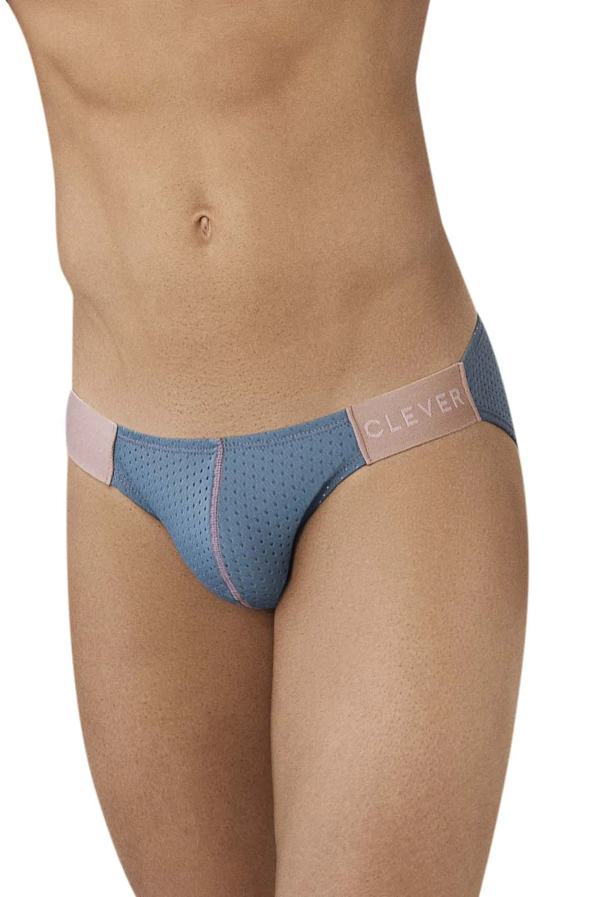 Clever 0950 Line Bikini Gray