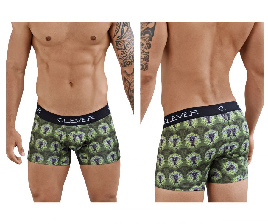 Clever 2385 Artemisia Boxer Briefs Green