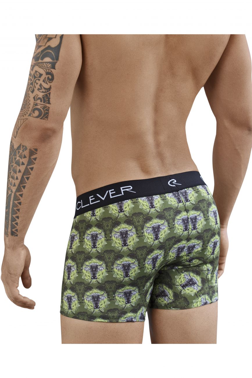 Clever 2385 Artemisia Boxer Briefs Green