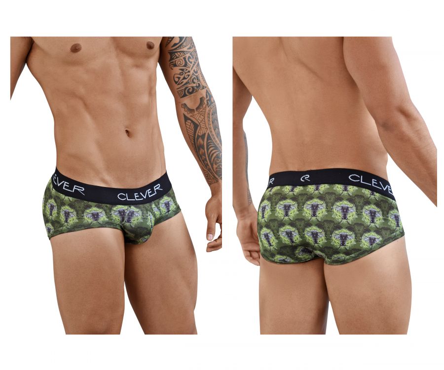 Clever 5385 Artemisia Briefs Green