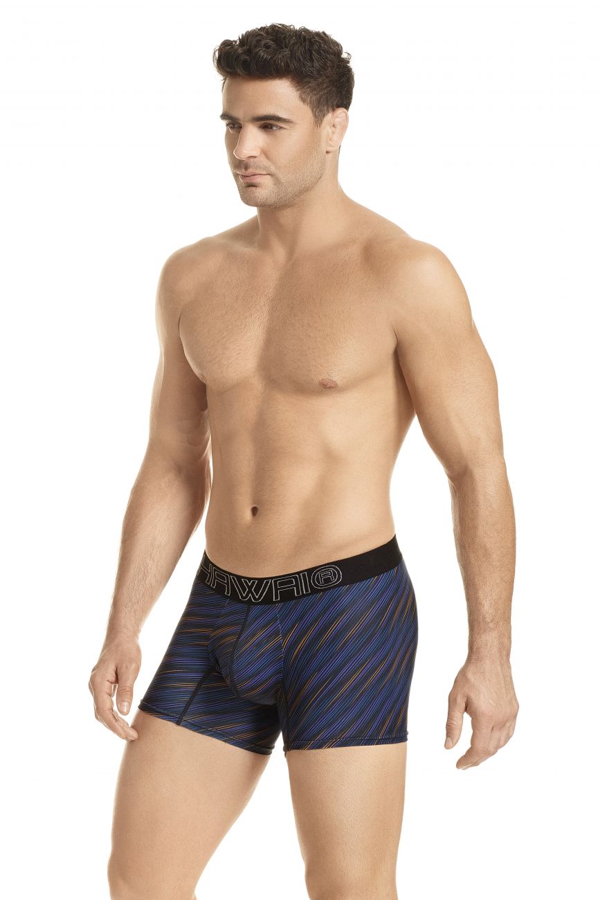 HAWAI 41921 Boxer Briefs Purple