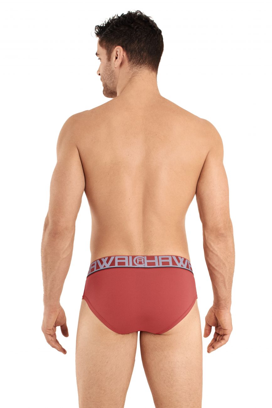 HAWAI 41963 Briefs Teracotta