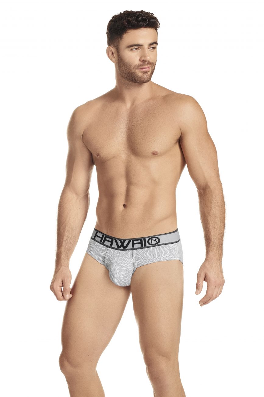 HAWAI 41974 Briefs Gray
