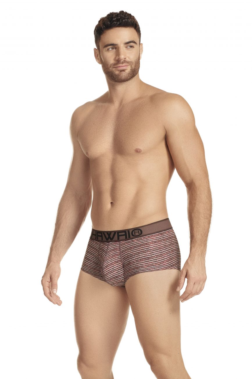 HAWAI 41975 Briefs Mahogany