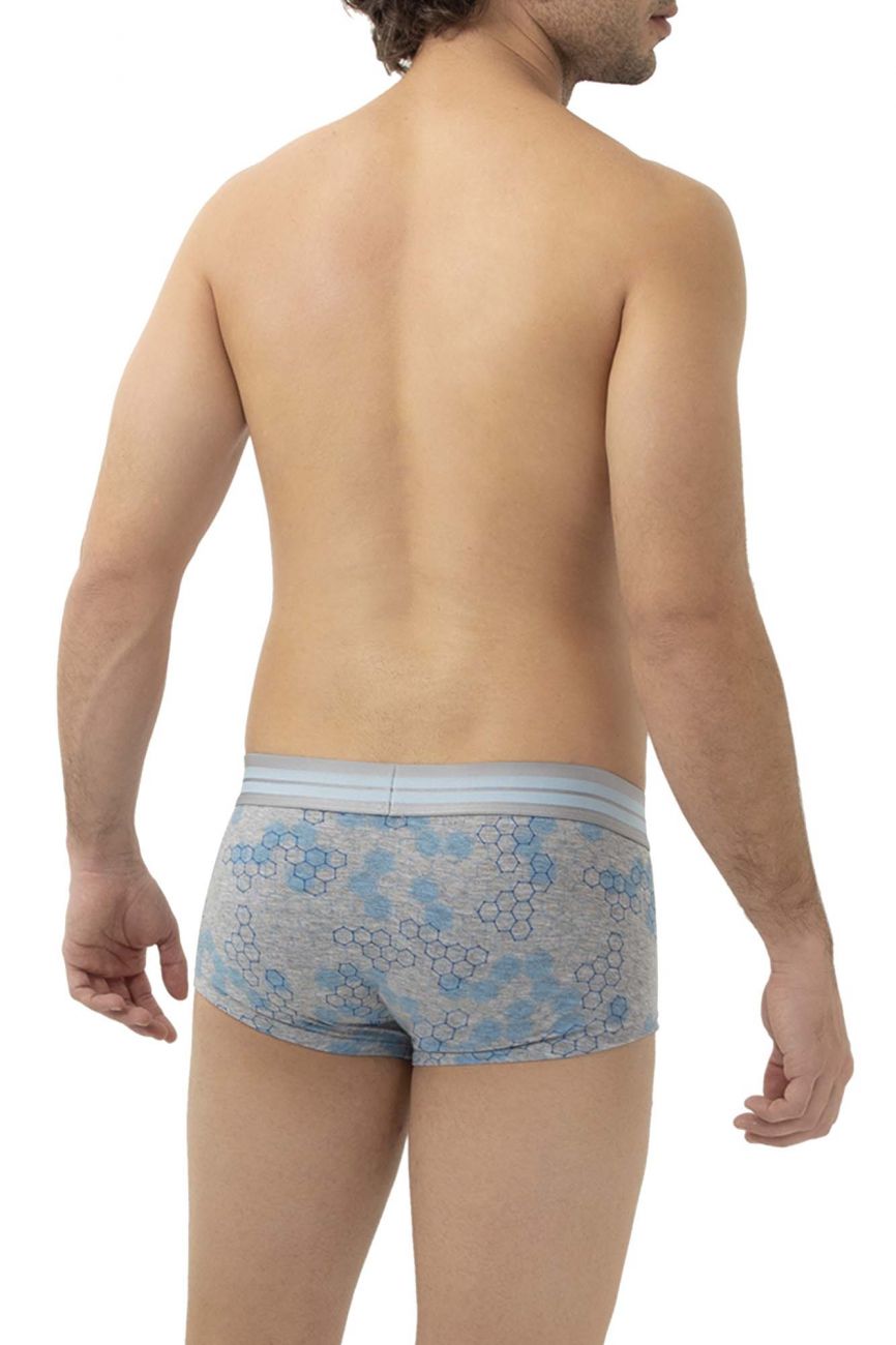 HAWAI 42231 Cotton Trunks Gray