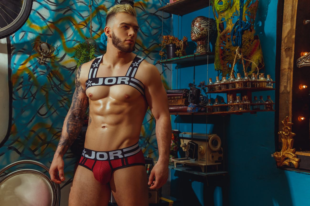 JOR 1105 Falcon Briefs