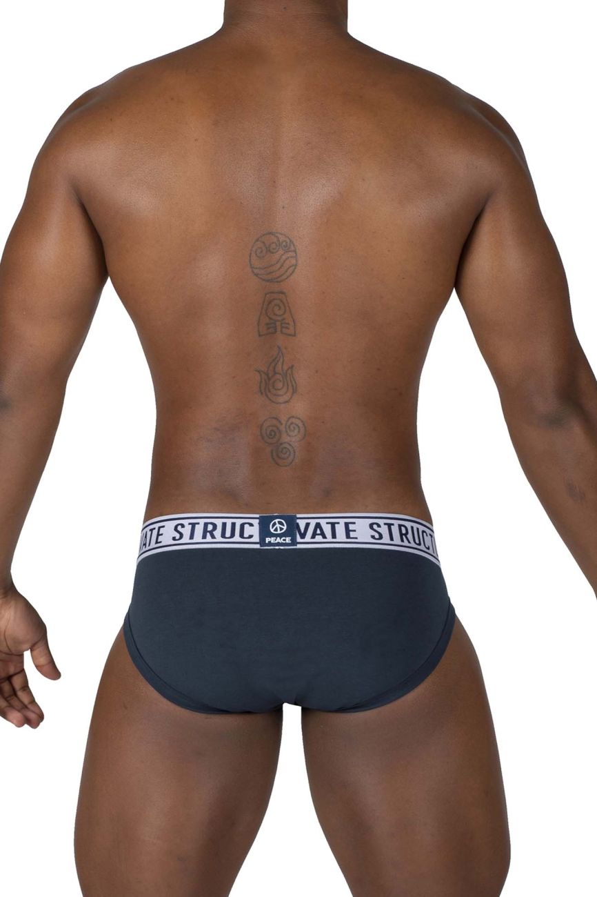 Private Structure EPUT4385 2PK Mid Waist Mini Briefs All Colours