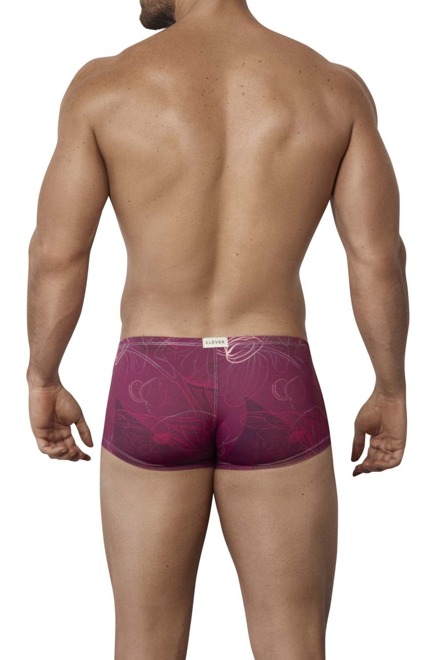 Clever 1582 Ramo Trunks Grape