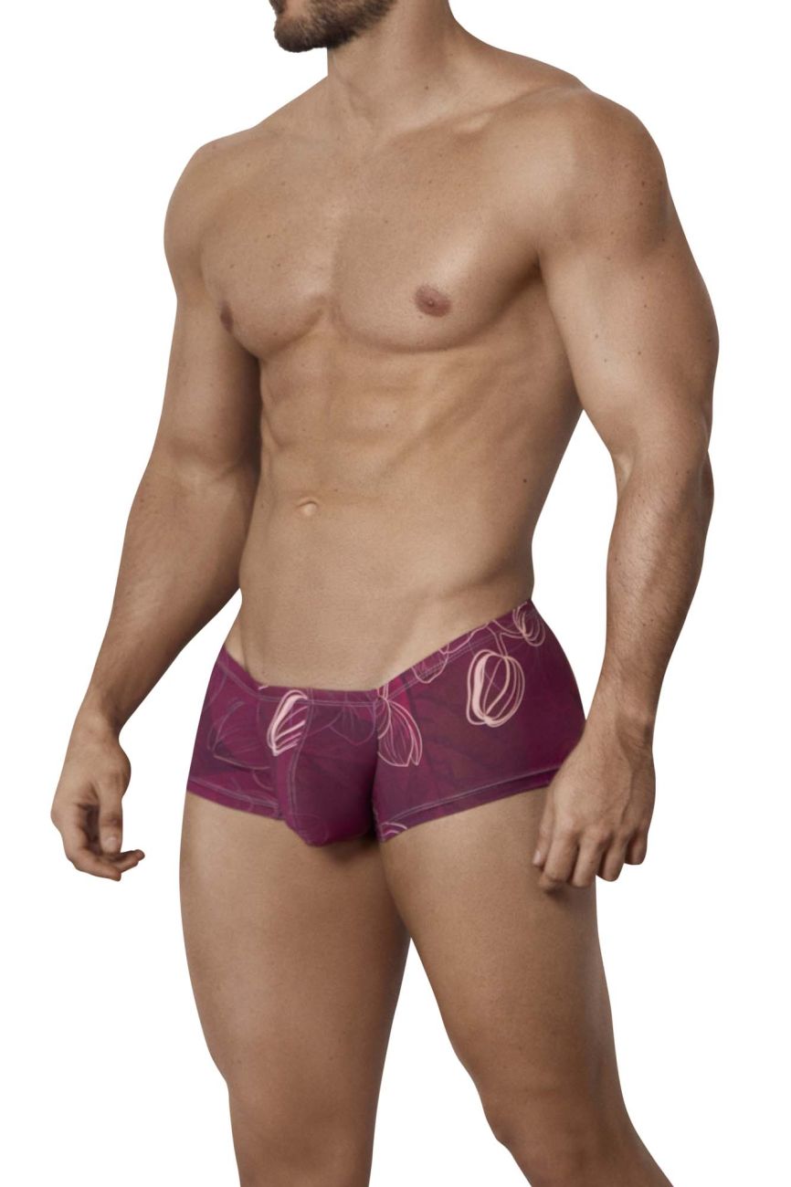 Clever 1582 Ramo Trunks Grape