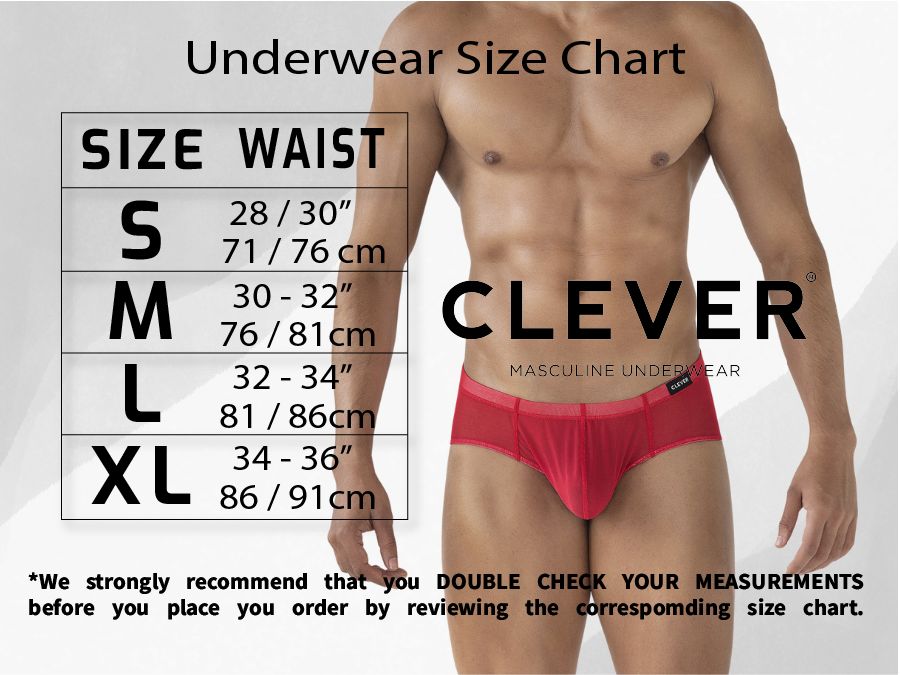 Clever 1801 Cebra Mens Zebra Animal Print Briefs Gray