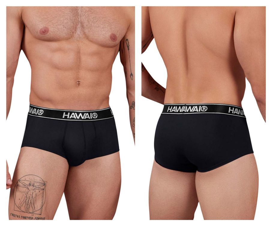 HAWAIR 41961 Mens Maximum Comfort Microfiber Briefs Black