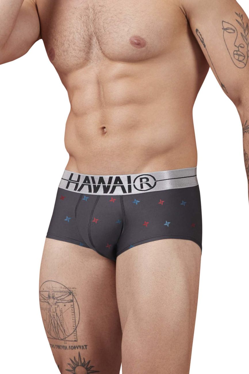 HAWAIR 42530 Printed Microfiber Briefs Grey