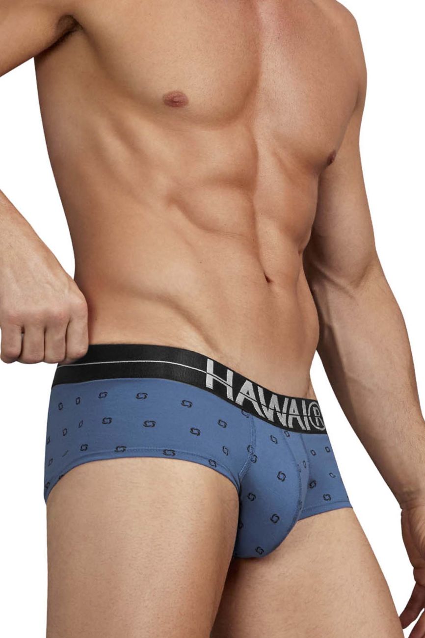 HAWAIR 42531 Cotton Blend Male Everyday Briefs Blue Quartz