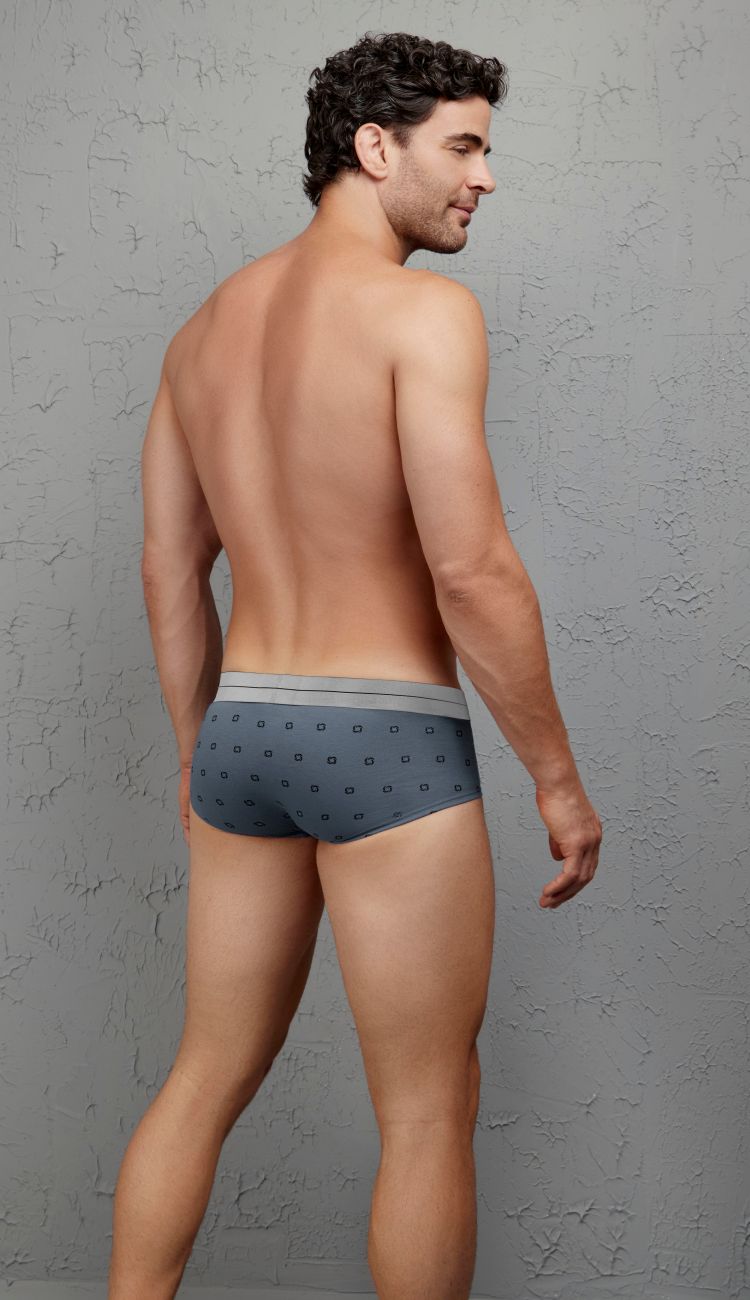 HAWAIR 42531 Cotton Blend Male Everyday Briefs Gray