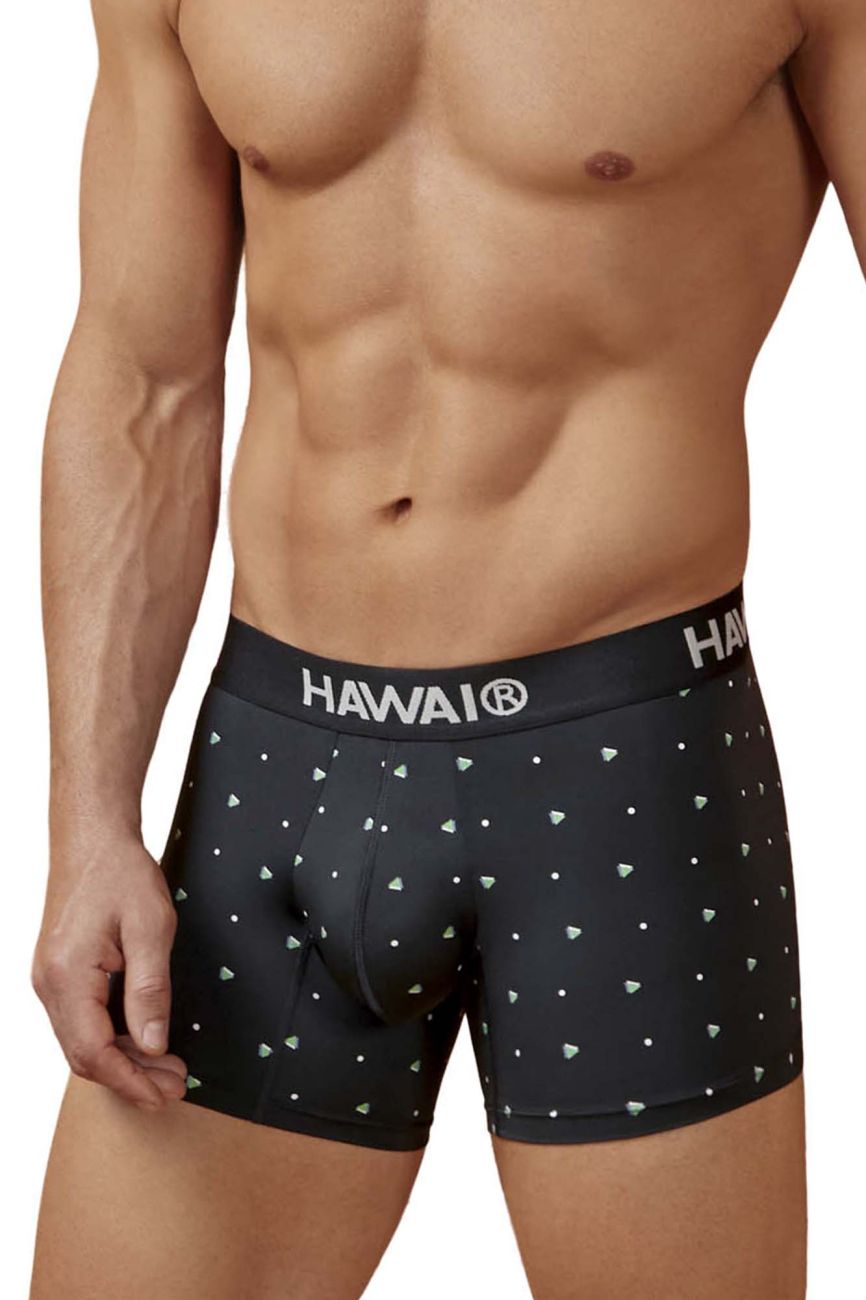 HAWAIR 42570 Microfiber Male Everyday Trunks Black
