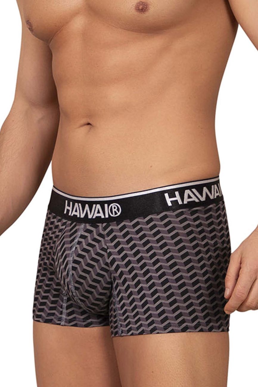 HAWAI 42371 Printed Trunks Gray