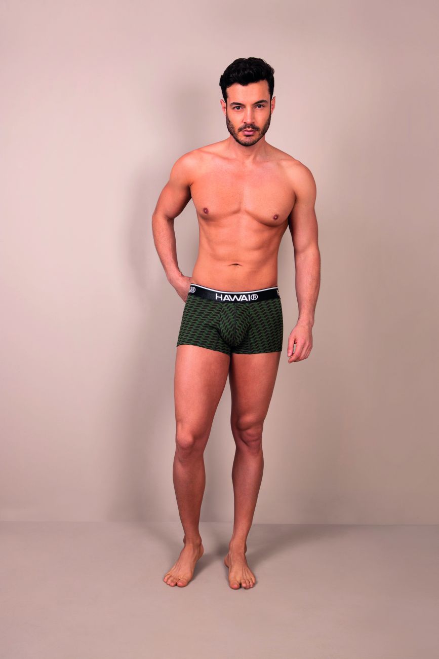 HAWAI 42371 Printed Trunks Green