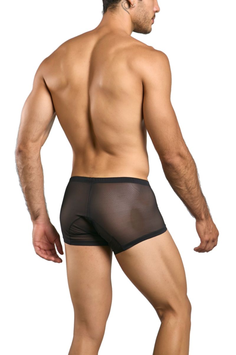 MaleBasics MBL78 Mens Sexy barely There Trunks Black Mesh