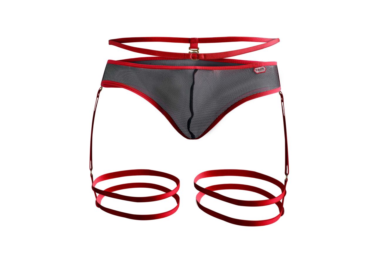 Pikante 1082 Lujueria Garter Thongs Red