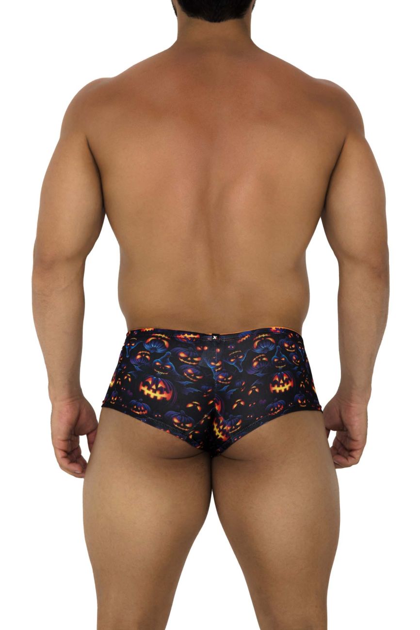 Xtremen 91193 Printed Trunks Halloween Pumpkins