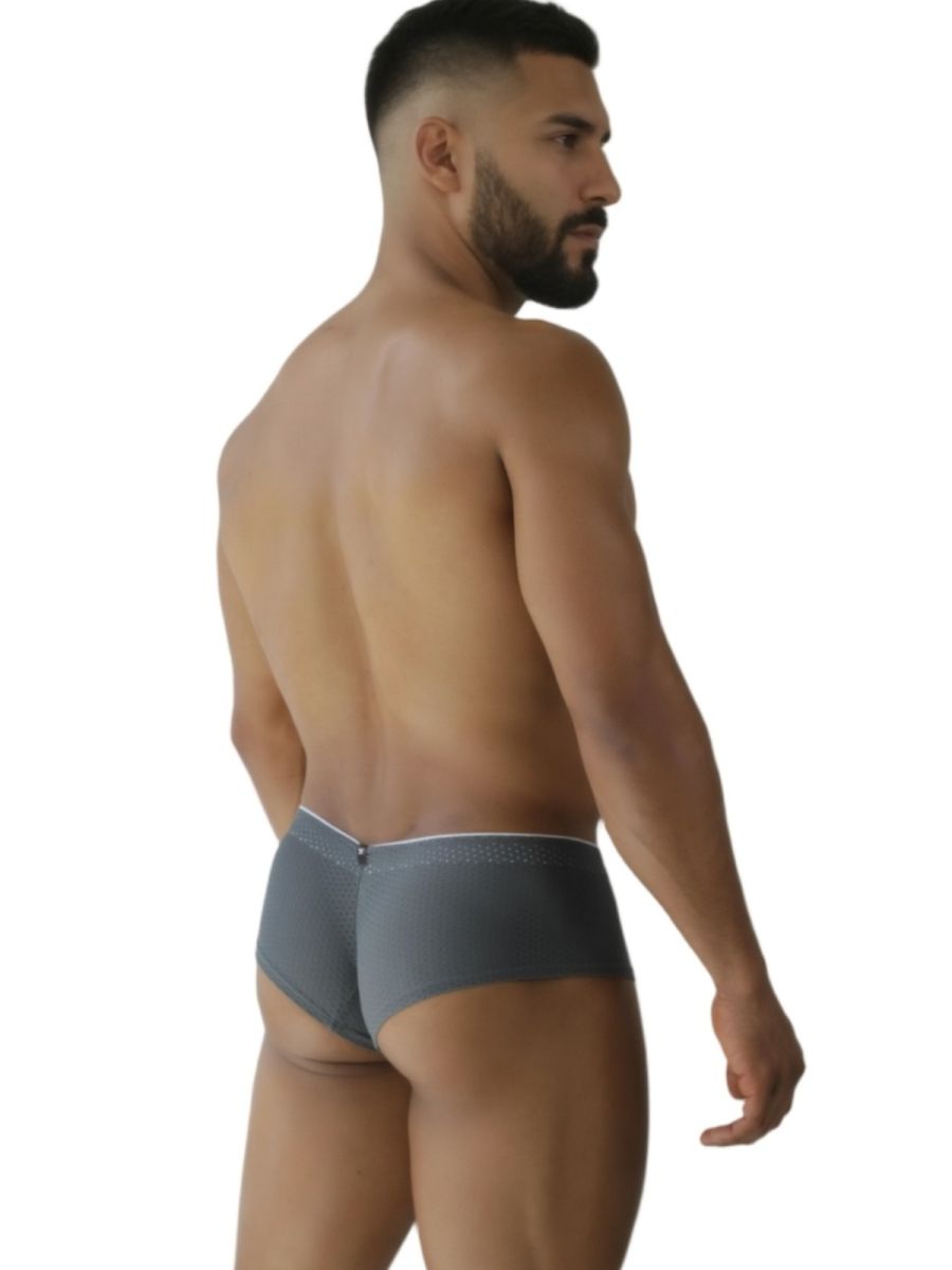 Xtremen 91269 Mens Sleek V-Cut Performance Mesh Briefs Gray