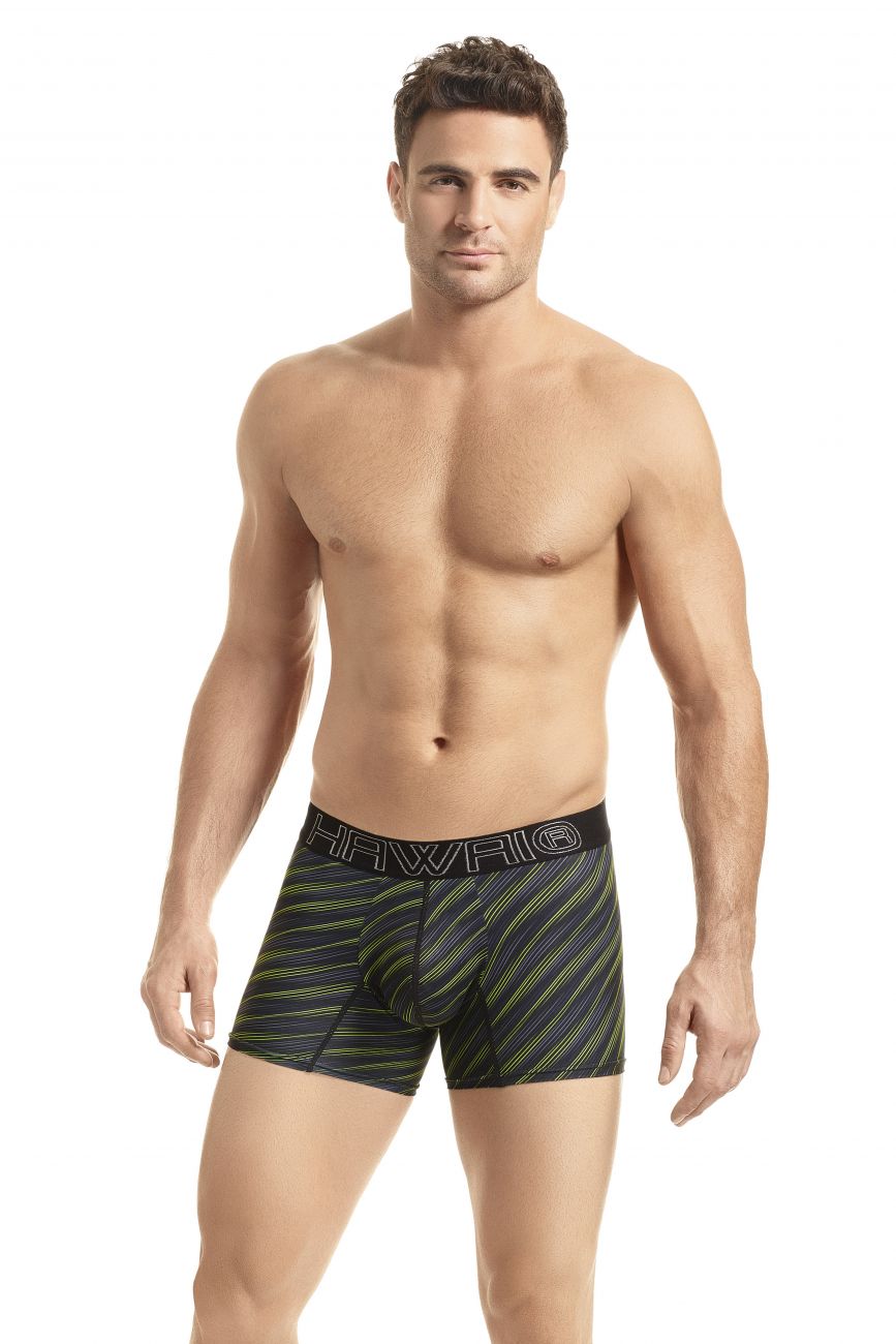 HAWAI 41921 Boxer Briefs Green