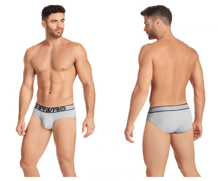 HAWAI 41974 Briefs Gray