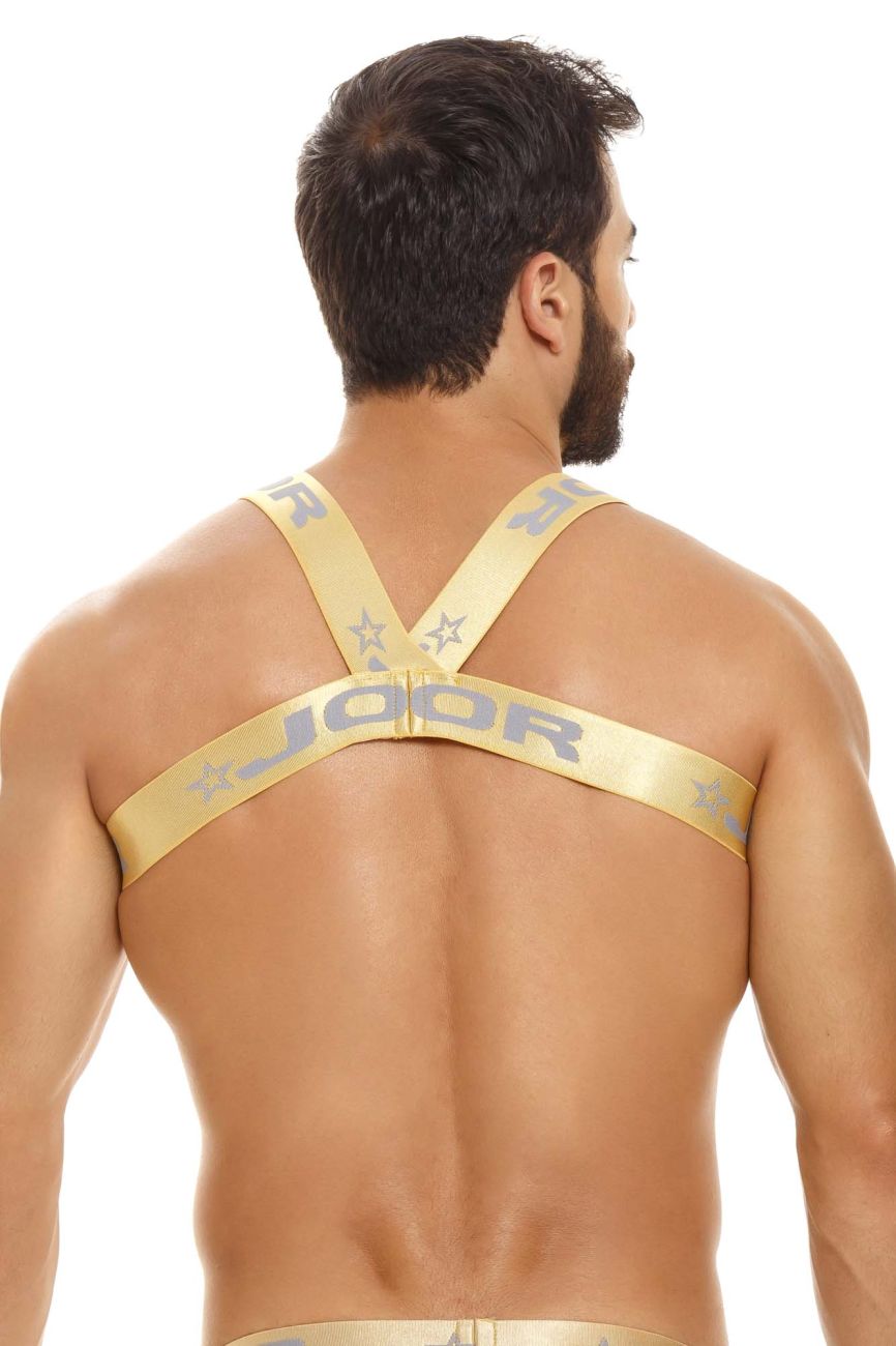JOR 1729 Orion Harness Gold