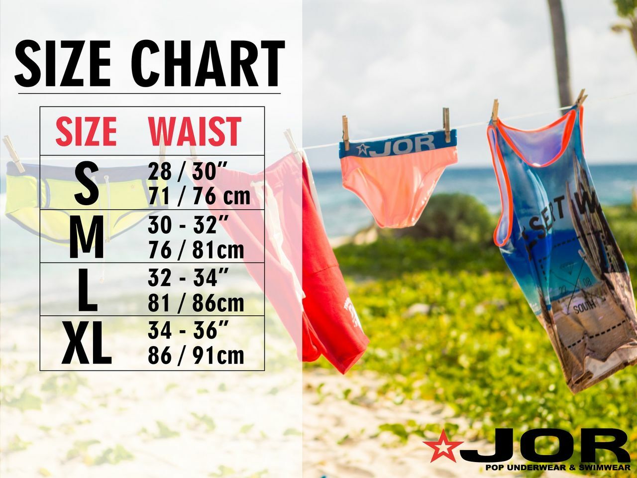 JCSTK - Pride Swim Briefs Color Multi-colored