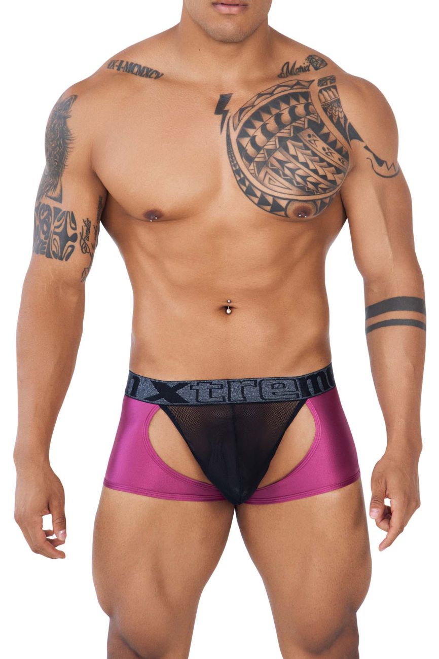 Xtremen 91125 Daring Mesh Trunks Violet