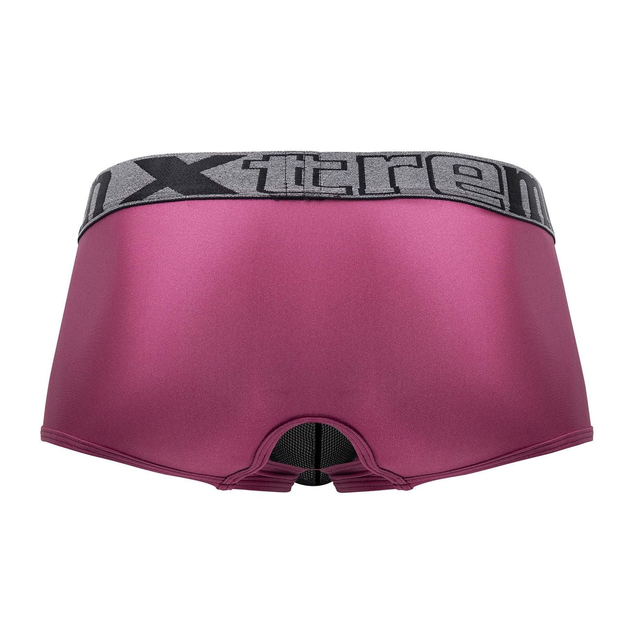 Xtremen 91125 Daring Mesh Trunks Violet