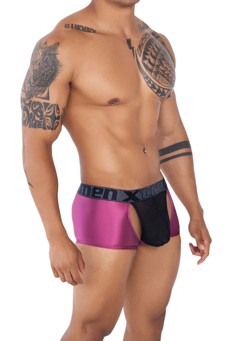 Xtremen 91125 Daring Mesh Trunks Violet